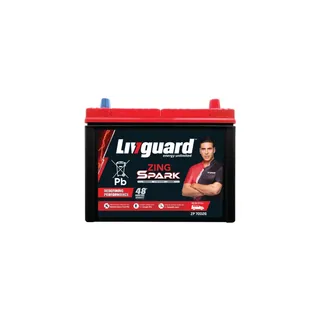Livguard 65Ah Automotive Battery
